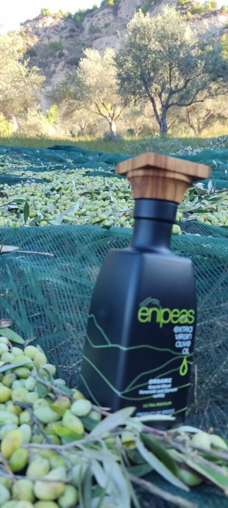 bottle_olive_grove_enipeas_evoo